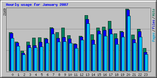 Hourly usage for January 2007