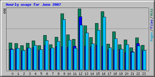 Hourly usage for June 2007
