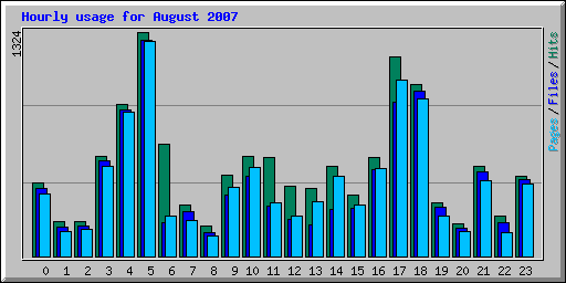 Hourly usage for August 2007