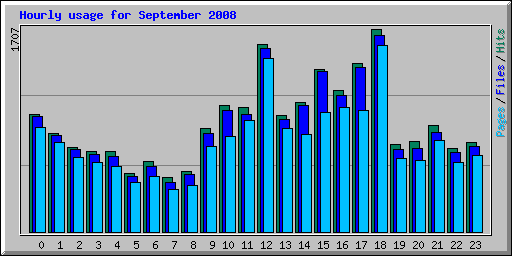 Hourly usage for September 2008