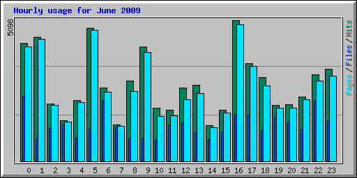 Hourly usage for June 2009