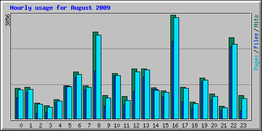 Hourly usage for August 2009