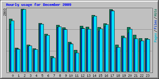 Hourly usage for December 2009