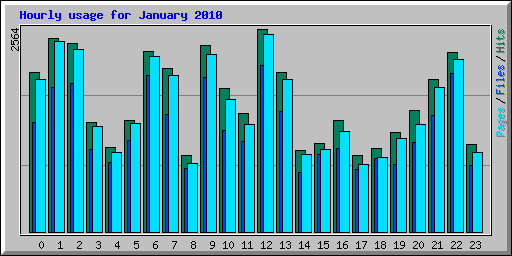Hourly usage for January 2010